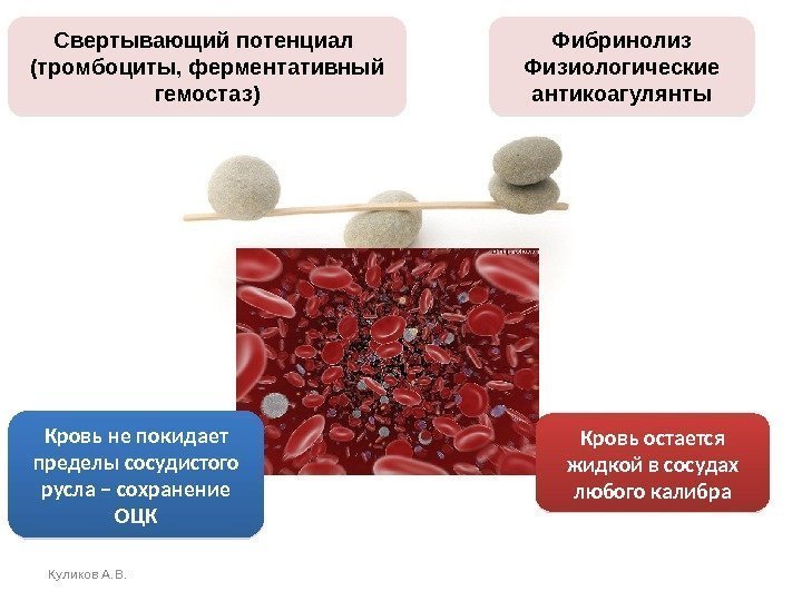 Куликов А. В. Свертывающий потенциал (тромбоциты, ферментативный гемостаз) Фибринолиз Физиологические антикоагулянты Кровь остается жидкой