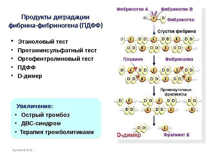 Продукты деградации фибрина-фибриногена (ПДФФ) Куликов А. В. •  Этаноловый тест •  Протаминсульфатный