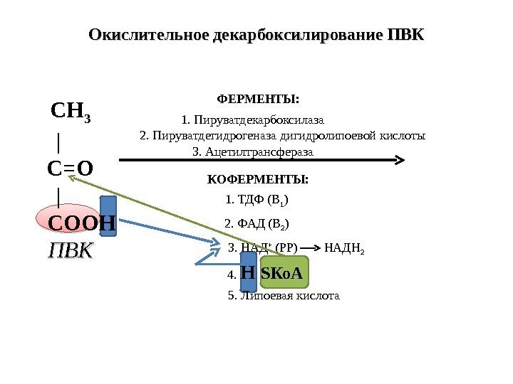 СН 3  | С=О  | СООН ПВКПВК 1. Пируватдекарбоксилаза 2. Пируватдегидрогеназа дигидролипоевой