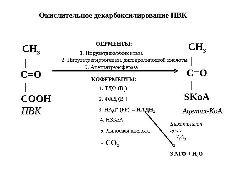 СН 3  | С=О  | СООН ПВКПВК 1. Пируватдекарбоксилаза 2. Пируватдегидрогеназа дигидролипоевой