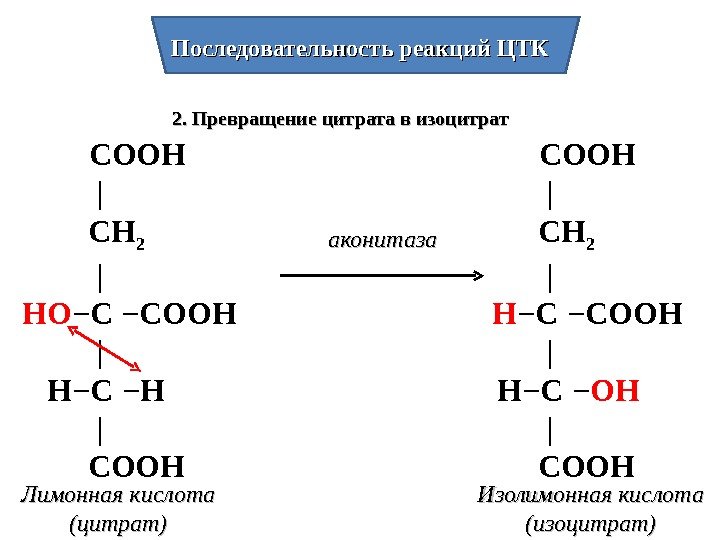 Последовательность реакций ЦТК 2. Превращение цитрата в изоцитрат аконитаза  СООН   |