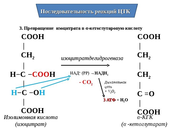 Последовательность реакций ЦТК 3. Превращение изоцитрата в αα -кетоглутаровую кислоту изоцитратдегидрогеназа  СООН 