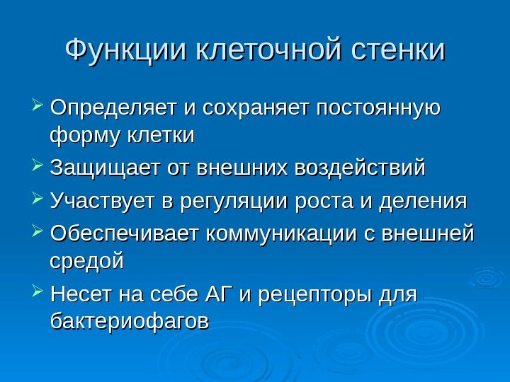 Функции клеточной стенки Определяет и сохраняет постоянную форму клетки Защищает от внешних воздействий Участвует