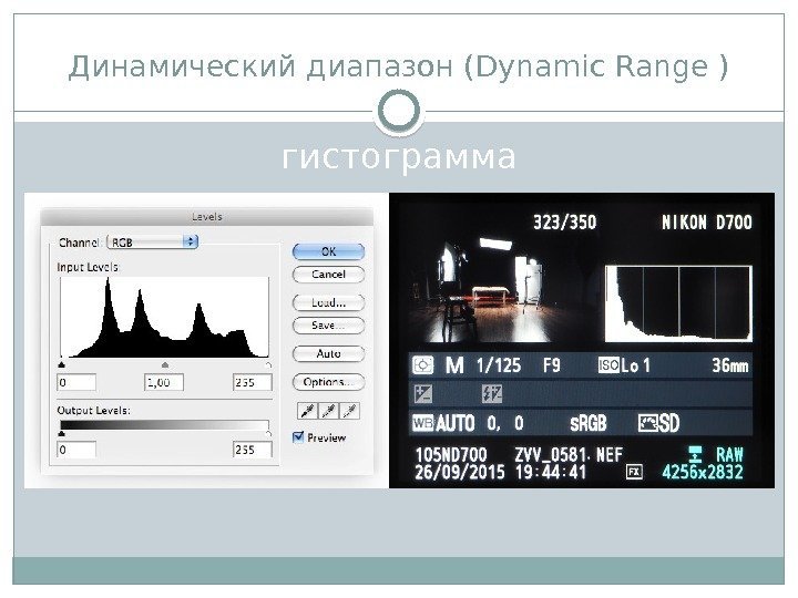 Динамический диапазон (Dynamic Range ) гистограмма  
