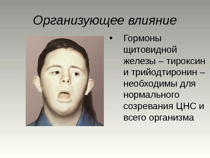 Организующее влияние • Гормоны щитовидной железы – тироксин и трийодтиронин – необходимы для нормального