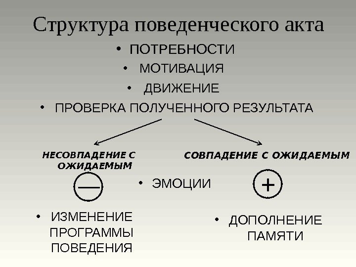 Структура поведенческого акта • ПОТРЕБНОСТИ • МОТИВАЦИЯ • ДВИЖЕНИЕ • ПРОВЕРКА ПОЛУЧЕННОГО РЕЗУЛЬТАТА СОВПАДЕНИЕ