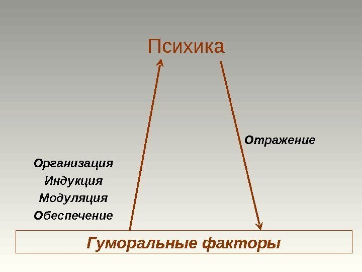 Организация Индукция Модуляция Обеспечение Отражение Гуморальные факторы Психика 