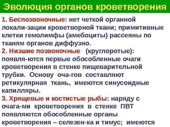   Эволюция органов кроветворения 1. Беспозвоночные:  нет четкой органной локали-зации кроветворной ткани;