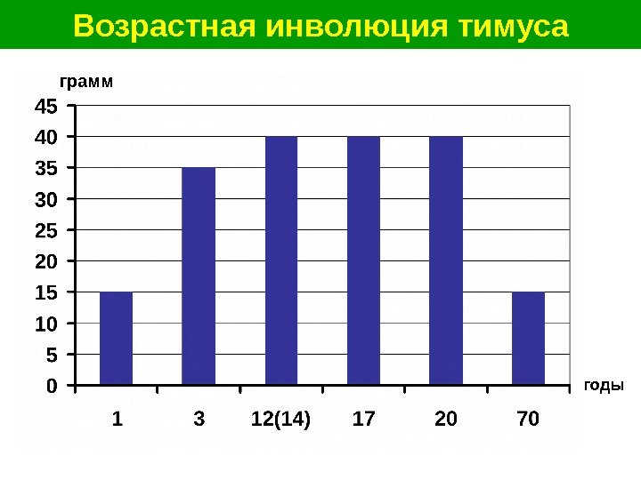   Возрастная инволюция тимуса грамм годы 