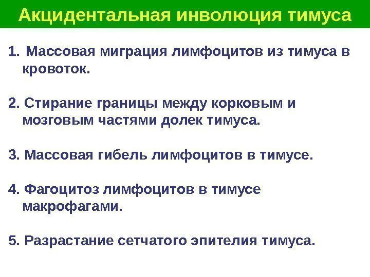   Акцидентальная инволюция тимуса 1.  Массовая миграция лимфоцитов из тимуса в кровоток.