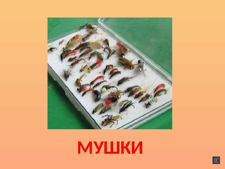 МУШКИ 