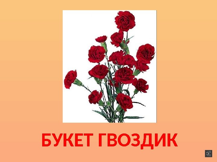 БУКЕТ ГВОЗДИК 