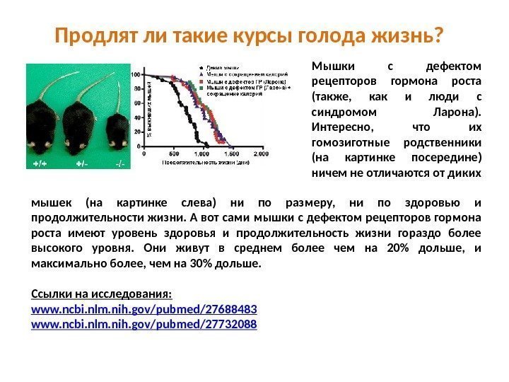 Продлят ли такие курсы голода жизнь? Мышки с дефектом рецепторов гормона роста (также, 