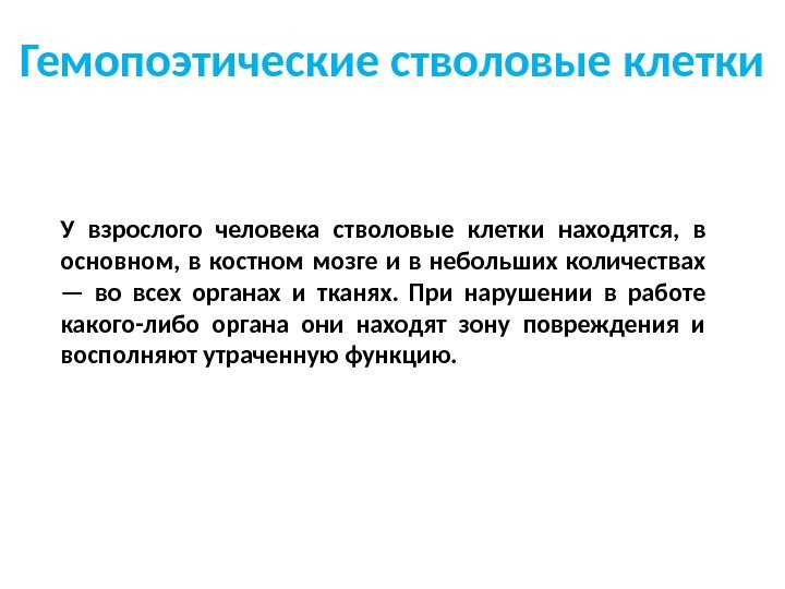 У взрослого человека стволовые клетки находятся,  в основном,  в костном мозге и