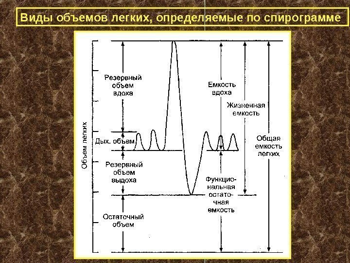   Виды объемов легких, определяемые по спирограмме 