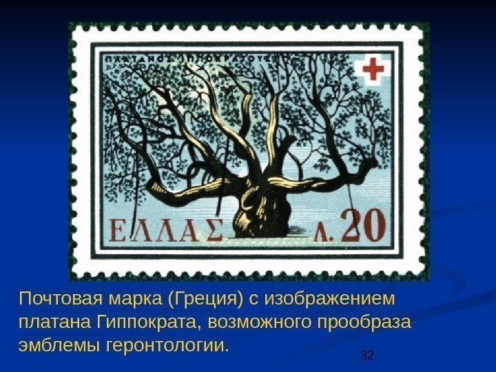 32 Почтовая марка (Греция) с изображением платана Гиппократа, возможного прообраза эмблемы геронтологии. 