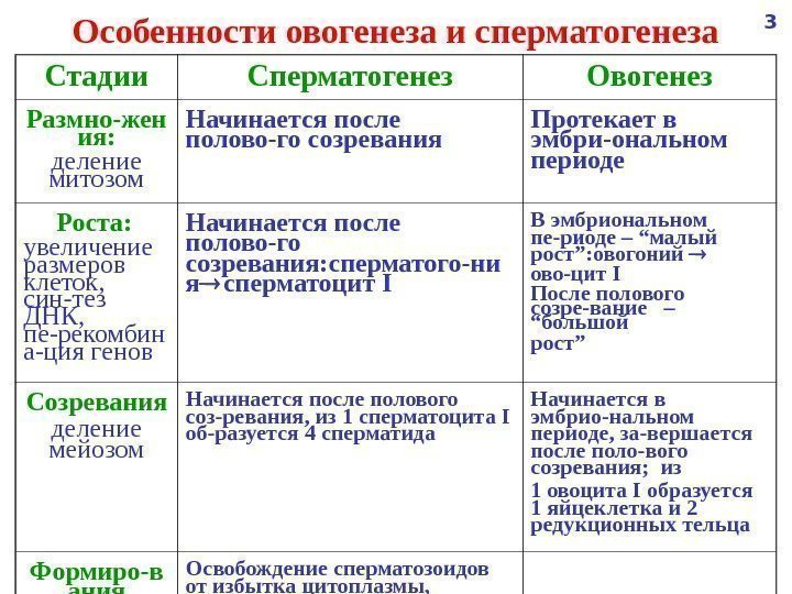 Заполните таблицу по предложенной схеме впишите названия периодов процесса образования