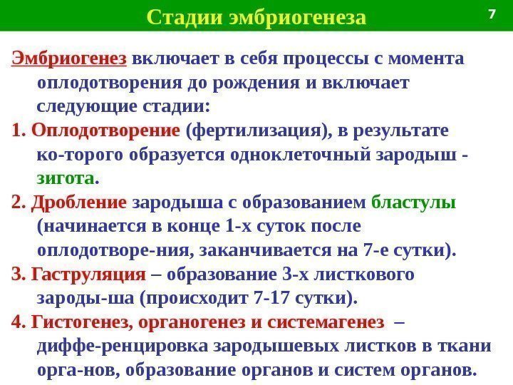 Эмбриогенез человека презентация