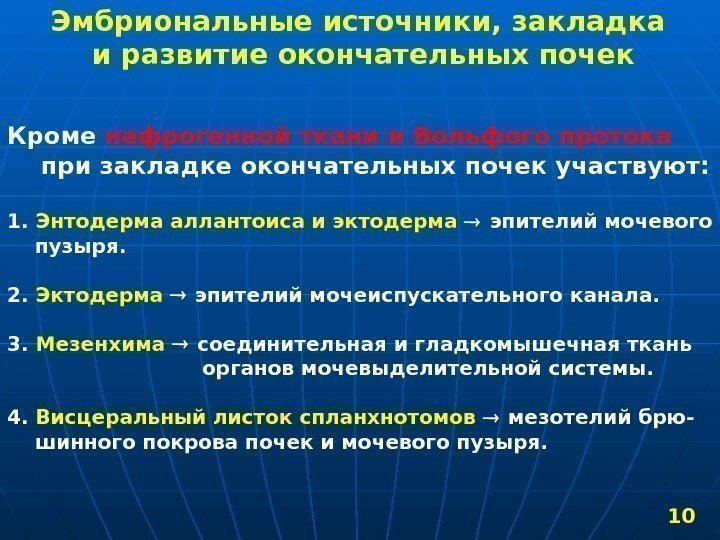 Ведущие источники развития. Источник развития почки. Источник развития окончательной почки. Первичная почка источник развития. Источники эмбрионального развития.