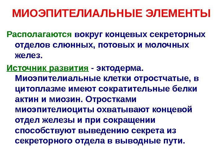 МИОЭПИТЕЛИАЛЬНЫЕ ЭЛЕМЕНТЫ Располагаются  вокруг концевых секреторных отделов слюнных, потовых и молочных желез. Источник