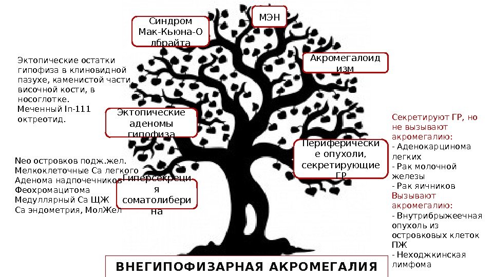 ВНЕ ГИ ПО Ф И ЗАРНАЯ АКР О МЕГАЛИ Я Гиперсекреци я соматолибери на.