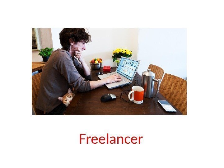 Freelancer 