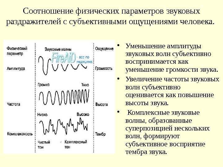 Соотношение физических параметров звуковых раздражителей с субъективными ощущениями человека. • Уменьшение амплитуды звуковых волн