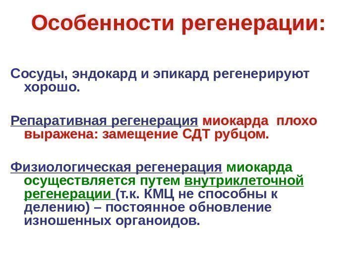   Особенности регенерации: Сосуды, эндокард и эпикард регенерируют хорошо. Репаративная регенерация  миокарда