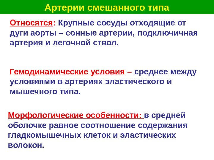   Артерии смешанного типа Относятся :  Крупные сосуды отходящие от дуги аорты