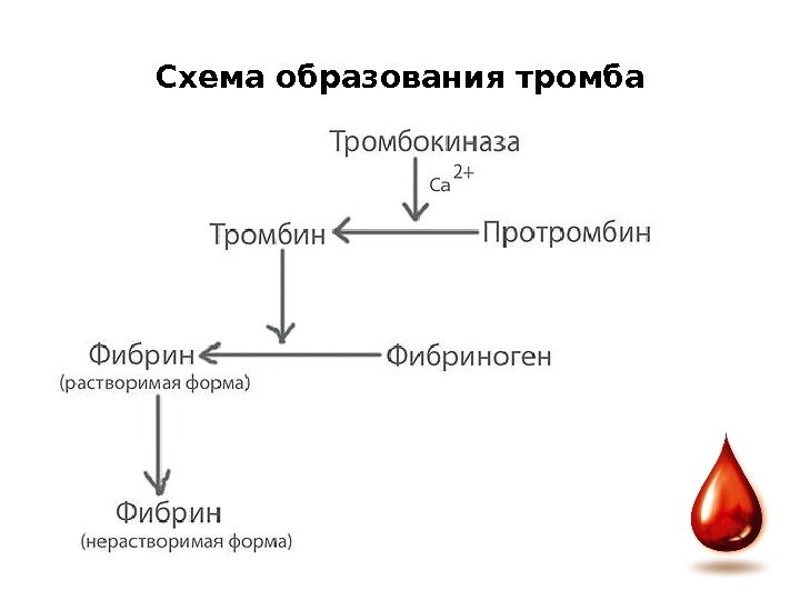 Схема образования тромба 