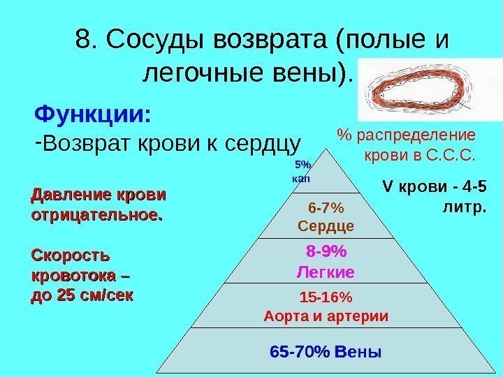 8. Сосуды возврата ( полые и легочные вены).  Функции:  - Возврат крови