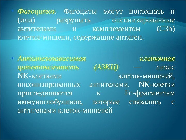  Фагоцитоз.  Фагоциты могут поглощать и (или) разрушать опсонизированные антителами и комплементом (С