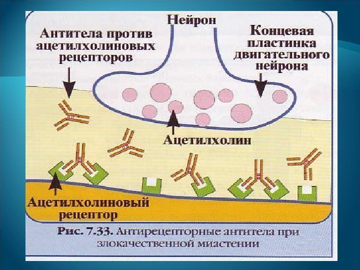 Аллергия это состояние повышенной чувствительности