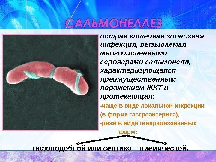   острая кишечная зоонозная инфекция, вызываемая многочисленными  сероварами сальмонелл,  характеризующаяся преимущественным