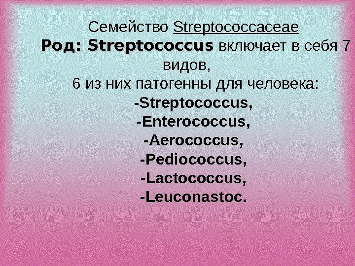 Семейство Streptococcaceae  Род:  Streptococcus включает в себя 7 видов,  6 из
