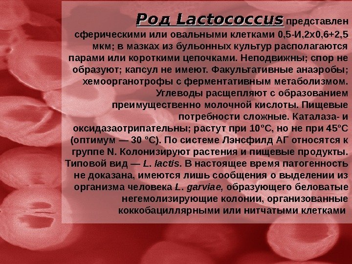 Род Lactococcus  представлен сферическими или овальными клетками 0, 5 -И, 2 x 0,
