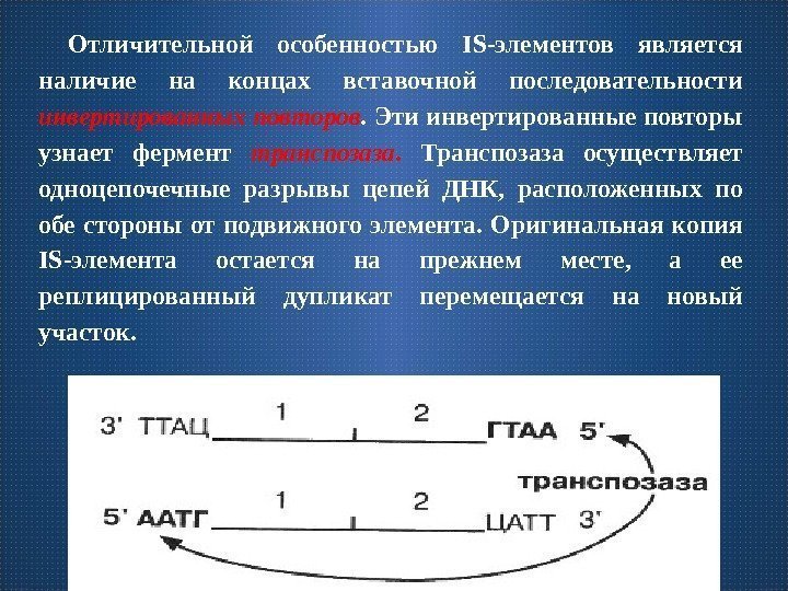 Проверить ферменты