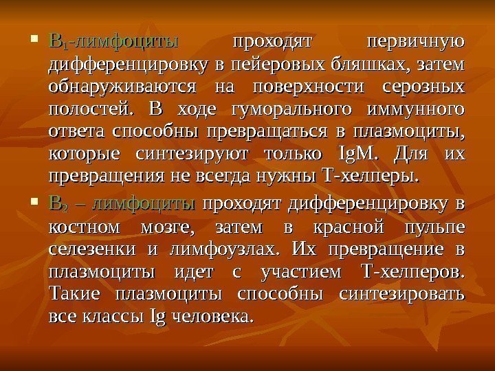  ВВ 11 -лимфоциты  проходят первичную дифференцировку в пейеровых бляшках, затем обнаруживаются на