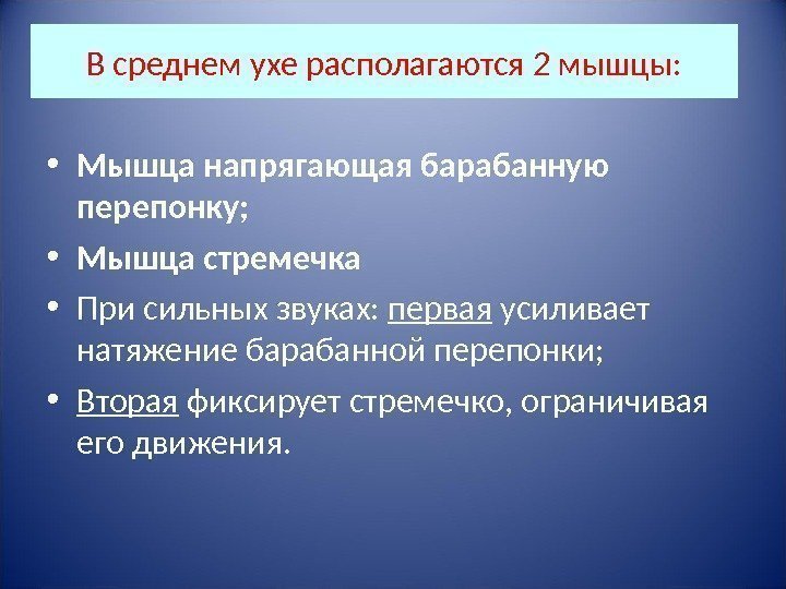 В среднем ухе располагаются 2 мышцы:  • Мышца напрягающая барабанную перепонку;  •