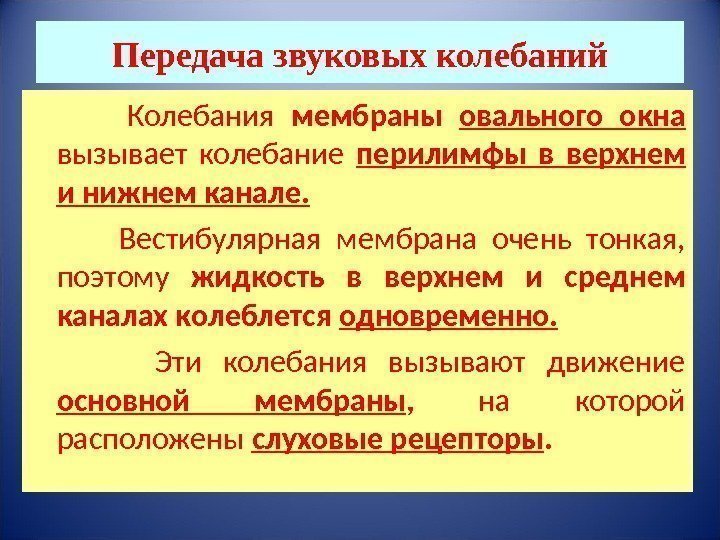 Передача звуковых колебаний   Колебания мембраны овального окна вызывает колебание перилимфы в верхнем