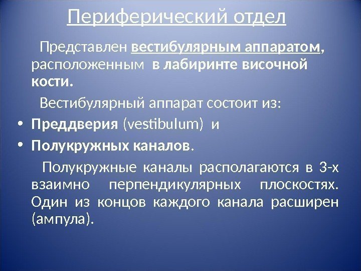 Периферический отдел   Представлен вестибулярным аппаратом ,  расположенным  в лабиринте височной