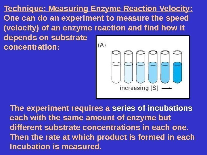 Technique: Measuring Enzyme Reaction Velocity:  One can do an experiment to measure the