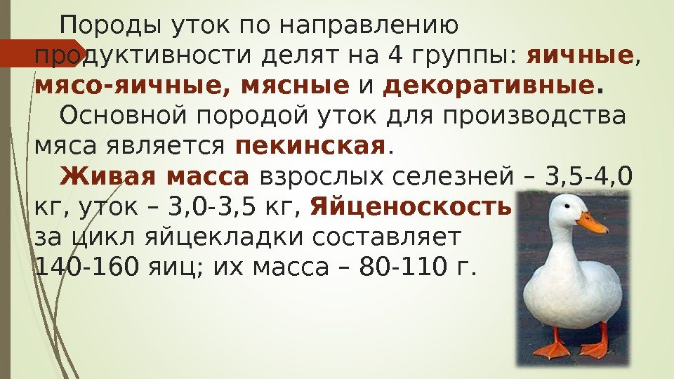 Породы уток по направлению продуктивности делят на 4 группы:  яичные ,  мясо-яичные,