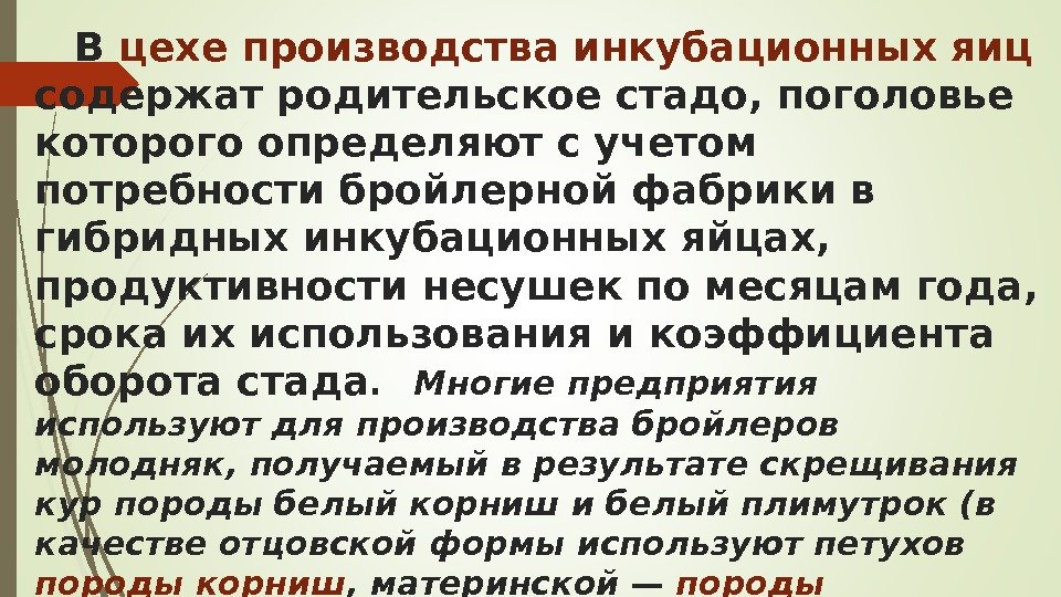 В цехе производства инкубационных яиц содержат родительское стадо, поголовье которого определяют с учетом потребности