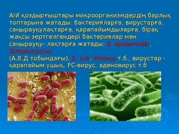 АІИ қоздырғыштары микроорганизмдердің барлық топтарына жатады: бактерияларға, вирустарға,  саңырауқүлақтарға, қарапайымдыларға, бірақ жақсы зертгелгендері