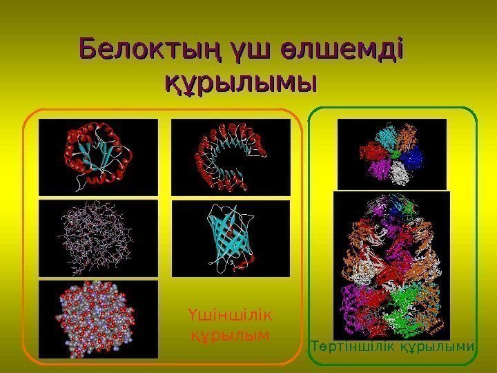 Белоктың үш өлшемді құрылымы Үшіншілік құрылым Төртіншілік құрылыми 