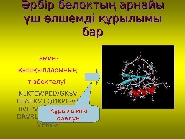 Әрбір белоктың арнайы үш өлшемді құрылымы барбар  амин- қышқылдарының тізбектелуі NLKTEWPELVGKSV EEAKKVILQDKPEAQ IIVLPVGTIVTMEYRI