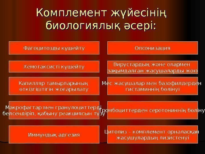   Комплемент жүйесінің биологиялық әсері: Фагоцитозды күшейту Хемотаксисті күшейту Капилляр тамырларының өткізгіштігін жоғарылату