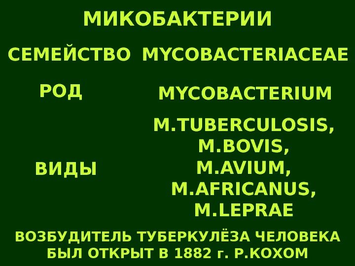   МИКОБАКТЕРИИ MYCOBACTERIACEAE MYCOBACTERIUM M. TUBERCULOSIS, M. BOVIS, M. AVIUM, M. AFRICANUS, M.
