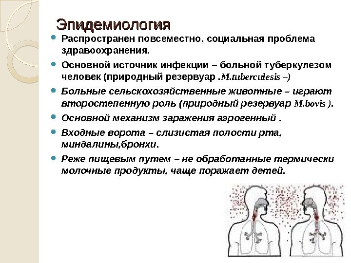 Эпидемиология Распространен повсеместно, социальная проблема здравоохранения.  Основной источник инфекции – больной туберкулезом человек
